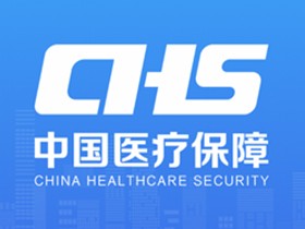 国家医保服务平台